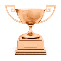 champion bronze trophy cup
