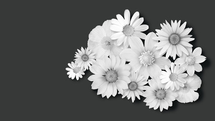 Blumen weiß auf schwarzem hintergrund für Trauerkarte