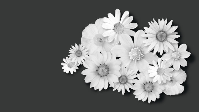 Blumen wei&szlig; auf schwarzem hintergrund f&uuml;r Trauerkarte