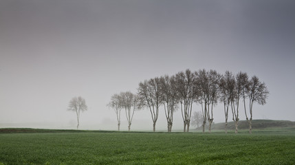 Paisaje en les Masies de Roda, Osona Catalunya