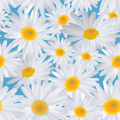 White daisy flower on blue. Seamless background