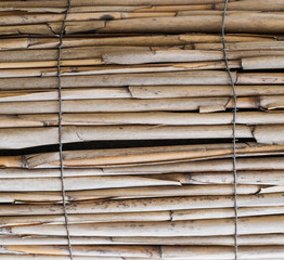 fence of dry bamboo sticks. background, texture.