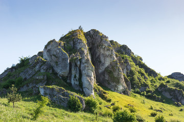 Piękna duża skała wapienna na Orlim Szlaku w Polsce - obrazy, fototapety, plakaty