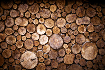 Cross section of tree trunks background. Decoration of cutting tree. Cutting tree trunks placed together for interior decorate.