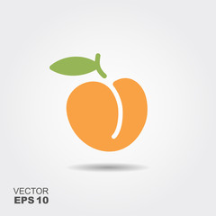 Illustration of peach flat icon with shadow