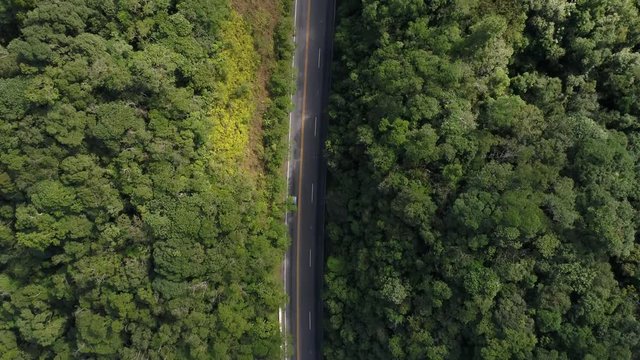 Aerial shot of a road and forest