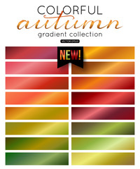 Autumn gradient collection. Color palette. Blurred background, pattern, wallpaper, texture, vector illustration.