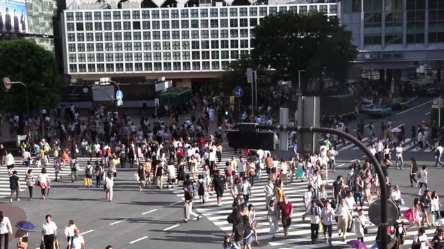 Shinjuku Crossing