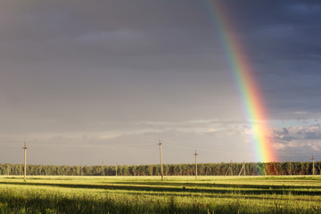 summer time of the year/ Rainbow after the rain against the background of the countryside landscape