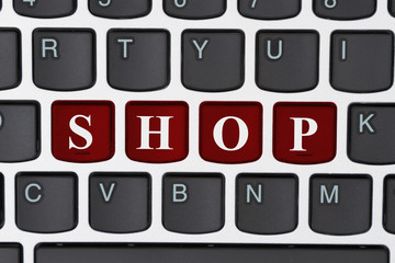 Doing your shopping on the internet