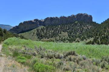 A gravel track running through Cave lake State Park.