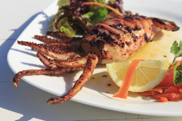 Grilled squid served by the sea in Greece, Traditional greek dish on the white wooden table background