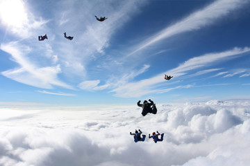 Naklejka na ściany i meble Skydivers in the sky