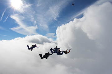Fototapeta na wymiar Skydivers in the sky
