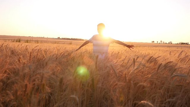Wonderful view of a cheerful boy who turns around with hands aside in a yellow wheat field on a sunny day in summer in slow motion. The beaming rays of sun make the shot impressive.