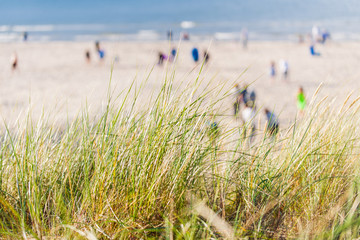 wydmy nadmorskie w tle piasek i niebieski woda © Mariusz_arts