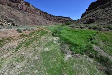 A fertile valley in Echo Canyon in Nevada.