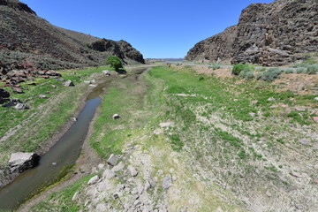 Fototapeta na wymiar A fertile valley in Echo Canyon in Nevada.