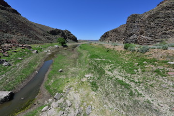 A fertile valley in Echo Canyon in Nevada.