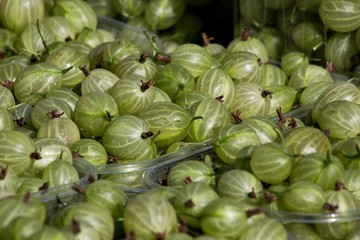 green gooseberry