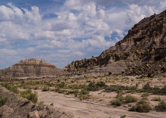 Colorado desert landscape with clouds and red rocks along a dirt road