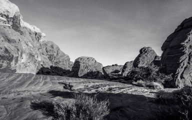 Black and white study of desert landscape 