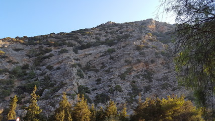 crete chrissi island stella palace