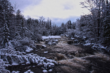 Adirondack Brook