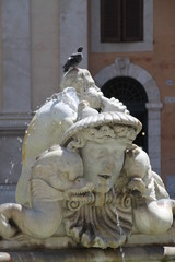 Obraz premium Rome Italy visit navona