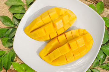 slice of fresh mangoes fruit in clean dish