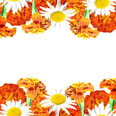 Beautiful floral background with daisies and marigolds 