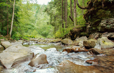 Beautiful view of mountain river with stones and woods.Carpathians