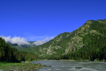Fototapeta na wymiar Landscape of Altai mountains. Katun river, Chemal, Altai Republic, Russia