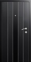 Obraz premium Entrance door (metal door)