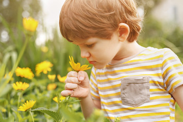 Little boy smelling daisy.