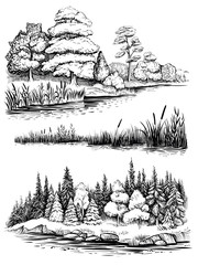 Trees and water reflection, vector illustration set. Landscape with forest, hand drawn sketch.