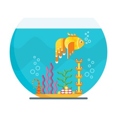 Tropical goldfish floats in large round aquarium. At bottom of aquarium sand and bright colored water underwater plants. Flat vector cartoon illustration. Objects isolated on a white background.