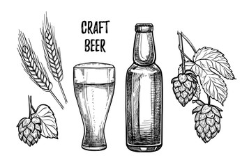 Hand drawn vector illustration - Craft beer (malt, hop, beer glass, bottle). Octoberfest or beer fest. Design elements in engraving style. Perfect for invitations, greeting cards, posters, prints - 163925792
