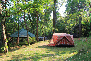 Travel to Doi Suthep national park, Chiang Mai, Thailand. The view on the mountain camping with an alcove and tents in a forest.