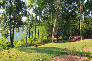 Travel to Doi Suthep national park, Chiang Mai, Thailand. The view on the mountain camping with an alcove and tents in a forest.