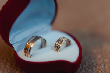 Two wedding rings