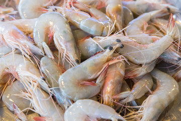 Shrimp for sale in the market.