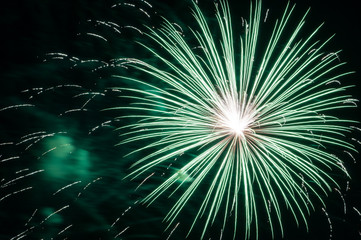 Obraz premium Fireworks light up the sky with dazzling display