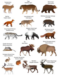 Collection of different species of animals living in the territory of Eurasia 