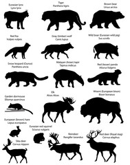 Naklejka premium Collection of silhouettes of different species of animals living in the territory of Eurasia