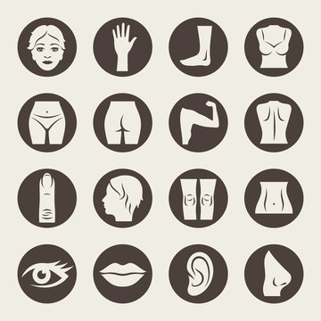 Body parts icons