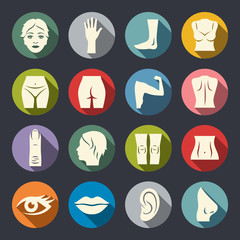 Body parts vector icon set