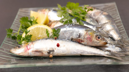 raw sardine