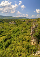Beautiful summer landscape