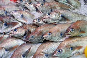 Frische Fische auf Eis in Südfrankreich